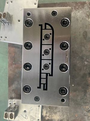 電気塗装 磨き 表面処理 OEM用WPCドアのフレームのためのWPCエクストルーション模具