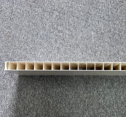 PVCホールパネルエクストルーション模具/Upvcウィンドウ製造機械 1つの空洞を持つプラスチック