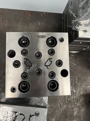 1 穴とガラスビーズ模具 UPVCプロフィール エクストルーション 窓ドアカバーのための模具